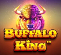 Buffalo King